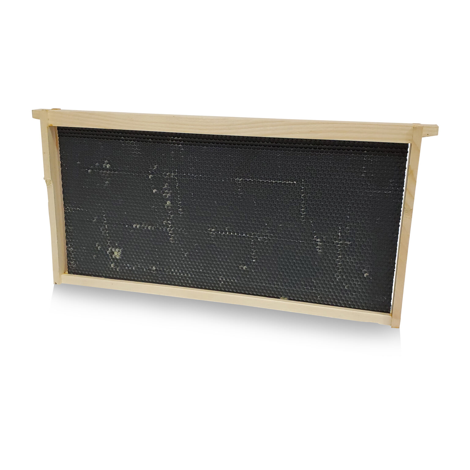 Deep Frame w/ Waxed Plastic Foundation - Image 2