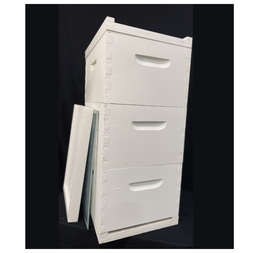 Stacked white painted wooden beehive boxes (deep hive bodies) with frames leaning against the hive, used for housing bee colonies.