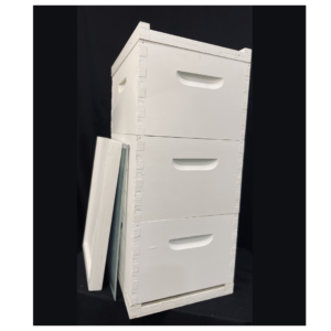 Stacked white painted wooden beehive boxes (deep hive bodies) with frames leaning against the hive, used for housing bee colonies.
