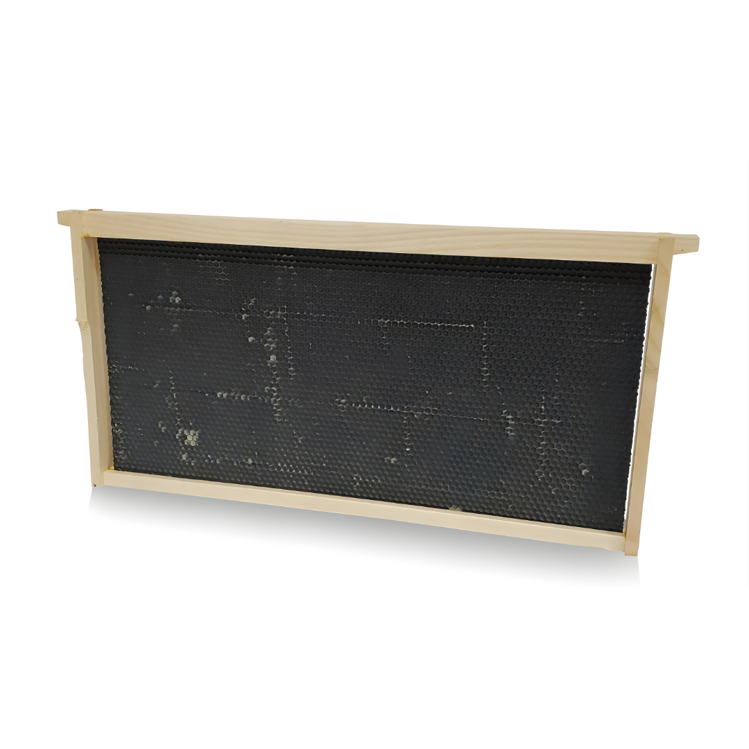 Wooden deep beehive frame with black plastic foundation featuring a hexagonal honeycomb pattern for bees to build comb.
