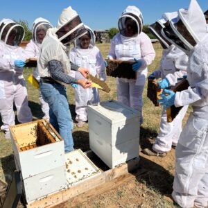 Beekeeping Class